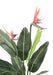 Pianta Strelitzia Artificiale 2 Fiori 95 Cm