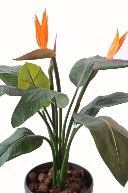 Pianta Artificiale Strelitzia 2 Fiori Decorazione H.85Cm