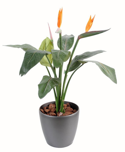 Pianta Artificiale Strelitzia 2 Fiori Decorazione H.85Cm