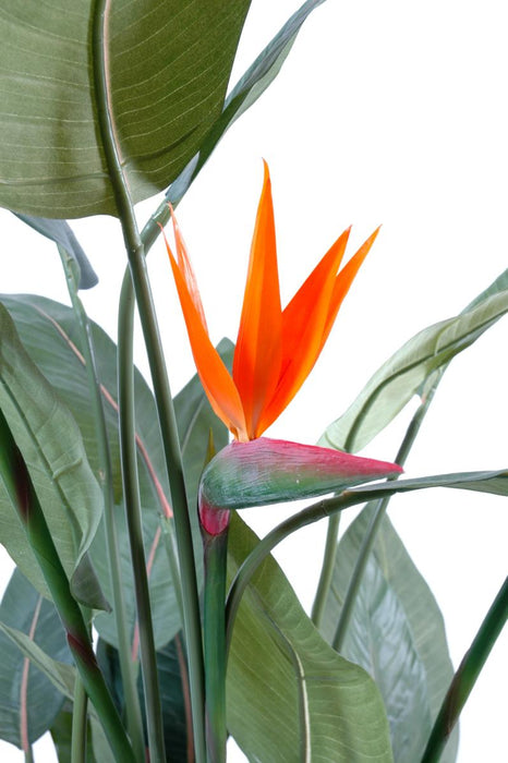 Pianta Artificiale Strelitzia 3 Fiori 150Cm