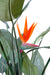 Pianta Artificiale Strelitzia 3 Fiori 150Cm
