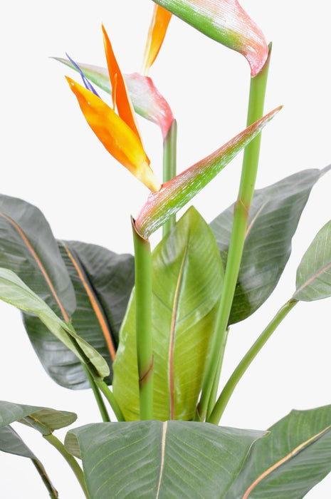 Pianta Artificiale Di Strelitzia Con Fiori D'arancio 98Cm