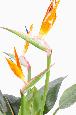 Pianta Artificiale Di Strelitzia Con Fiori D'arancio 98Cm