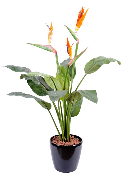 Pianta Artificiale Di Strelitzia Con Fiori D'arancio 98Cm