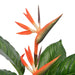 Pianta Strelitzia Artificiale Con Vaso Rosso 100 Cm