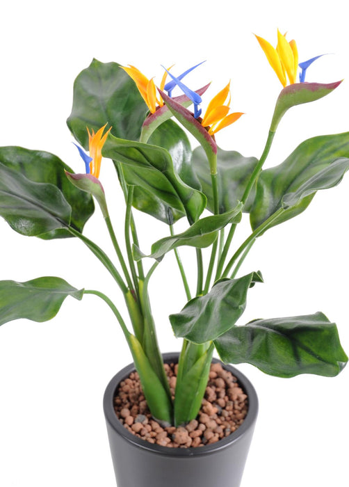Pianta Artificiale Strelitzia Resistente Ai Raggi UV 50Cm