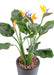 Pianta Artificiale Strelitzia Resistente Ai Raggi UV 50Cm