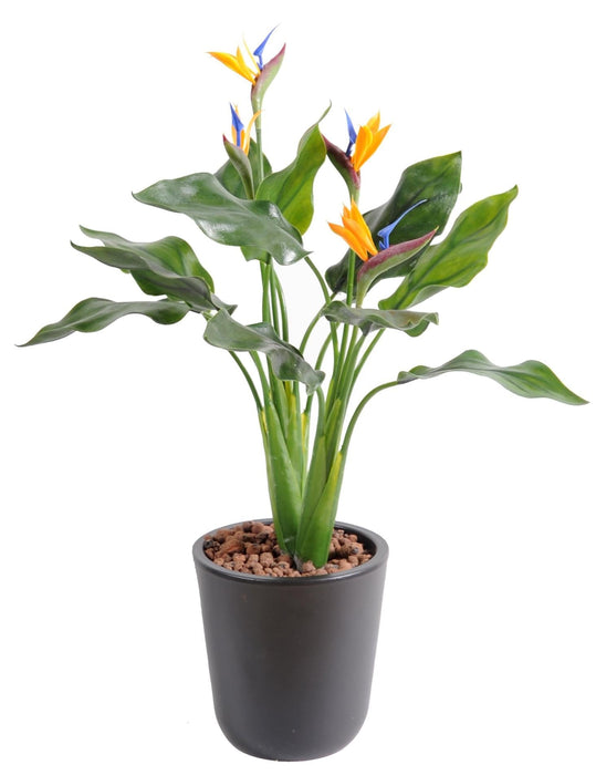 Pianta Artificiale Strelitzia Resistente Ai Raggi UV 50Cm
