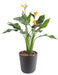 Pianta Artificiale Strelitzia Resistente Ai Raggi UV 50Cm