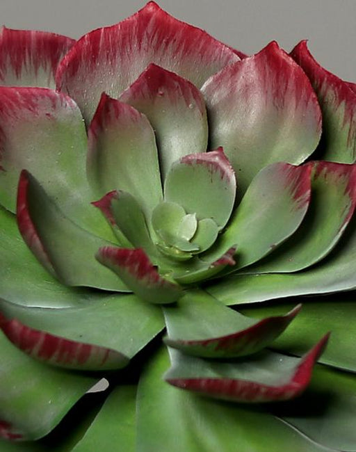 Decorazione Per La Casa Di Piante Di Cactus Succulente Artificiali