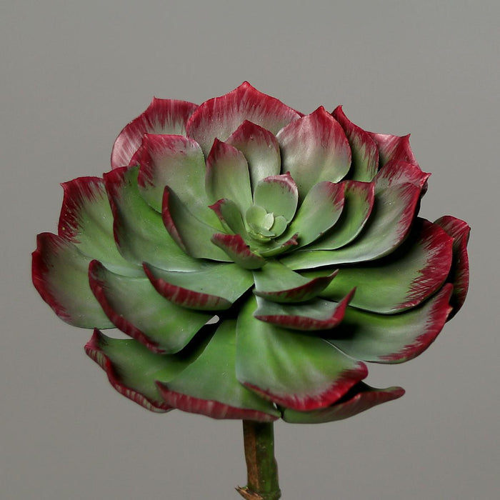 Decorazione Per La Casa Di Piante Di Cactus Succulente Artificiali