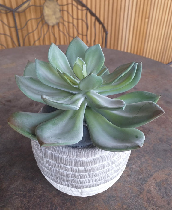 Pianta Grassa Artificiale Cactus Da Interno 12Cm