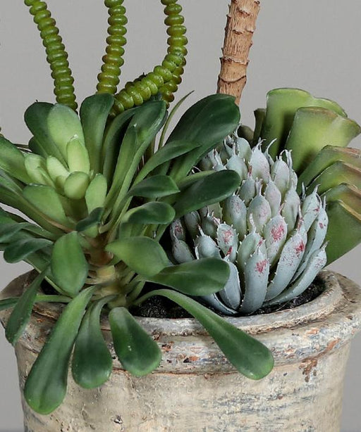 Pianta Succulente Artificiale In Vaso 25Cm