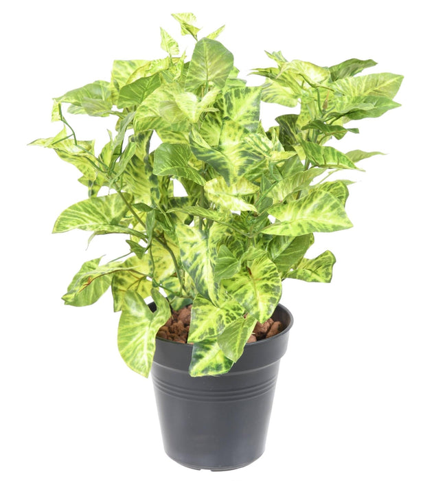 Pianta Artificiale Syngonium 40Cm Variegata Per Interni