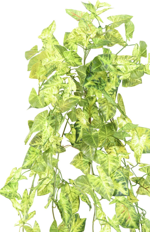 Pianta Artificiale Syngonium 80 Cm Decorazione D'interni