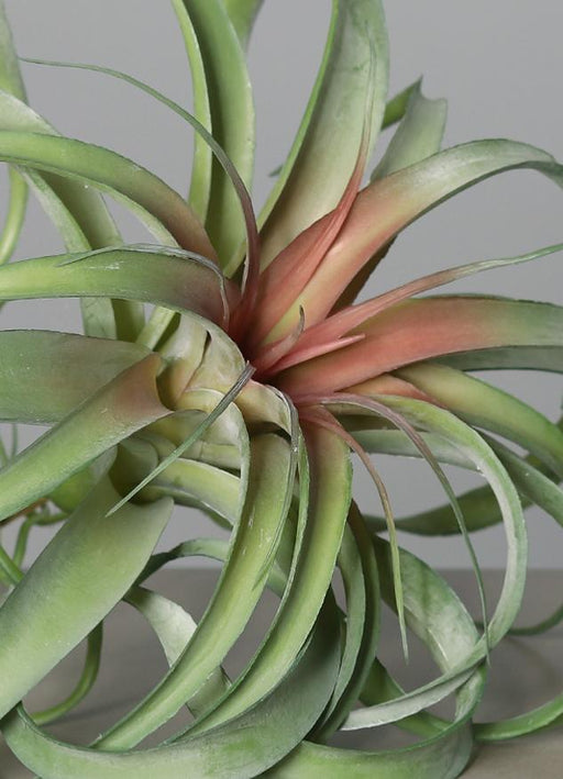 Pianta Artificiale Tillandsia Su Palo 28Cm Decorazione