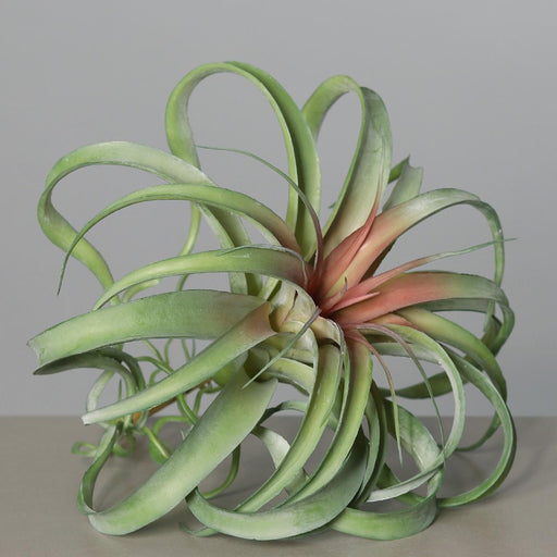 Pianta Artificiale Tillandsia Su Palo 28Cm Decorazione