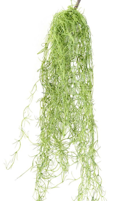 Pianta Artificiale Tillandsia Verde 80Cm Decorazione
