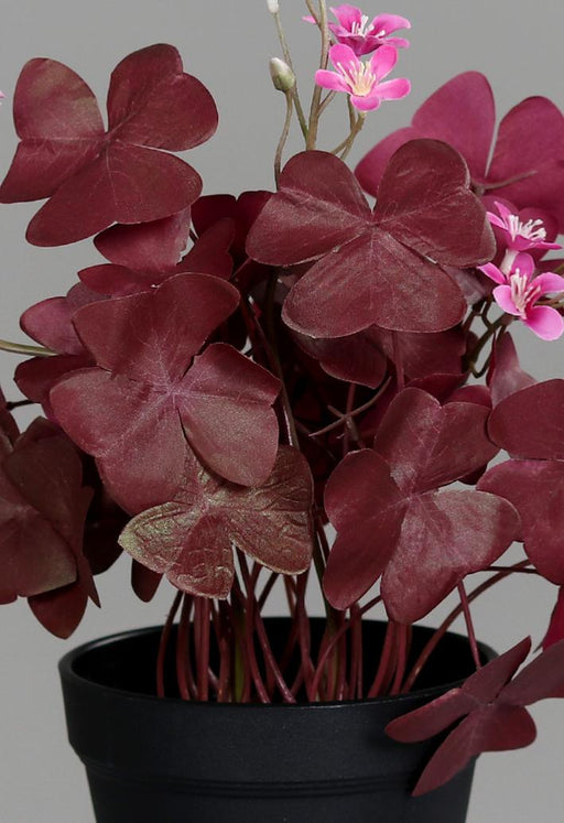 Pianta Artificiale Di Trifoglio Bordeaux In Vaso 32Cm