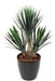 Pianta Yucca Artificiale 3 Tronchi 70Cm Decorazione Interna