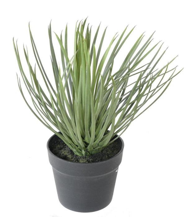 Pianta Artificiale Yucca Rostrata 40Cm Per Decorazione