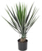 Pianta Artificiale Yucca Rostrata 60 Cm Verde