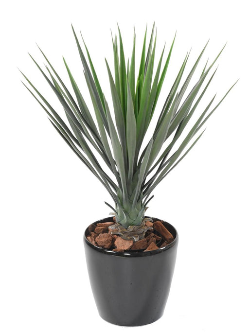 Pianta Artificiale Yucca Rostrata 60 Cm Verde