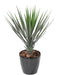 Pianta Artificiale Yucca Rostrata 60 Cm Verde
