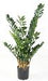 Pianta Artificiale Zamioculcas 110Cm Per Interni