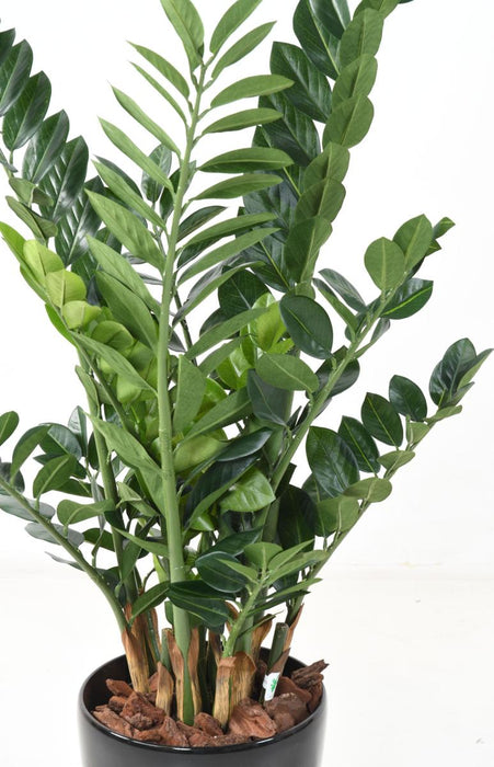 Pianta Artificiale Zamioculcas 110Cm Per Interni