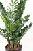 Pianta Artificiale Zamioculcas 110Cm Per Interni