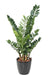 Pianta Artificiale Zamioculcas 110Cm Per Interni