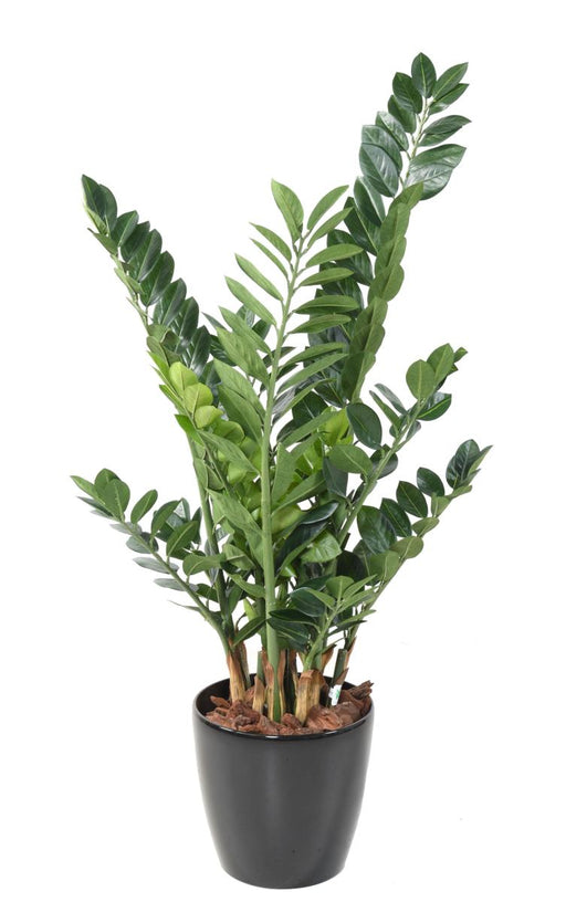 Pianta Artificiale Zamioculcas 110Cm Per Interni