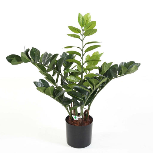 Pianta Artificiale Zamioculcas 60Cm Per Interni