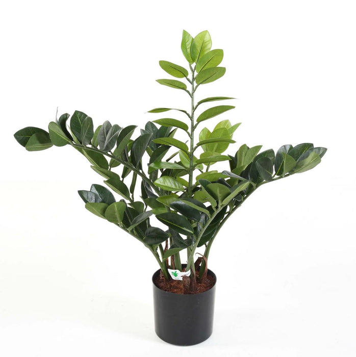 Pianta Artificiale Zamioculcas 60Cm Per Interni