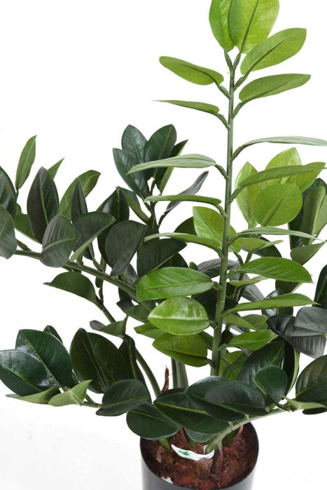 Pianta Artificiale Zamioculcas 60Cm Per Interni