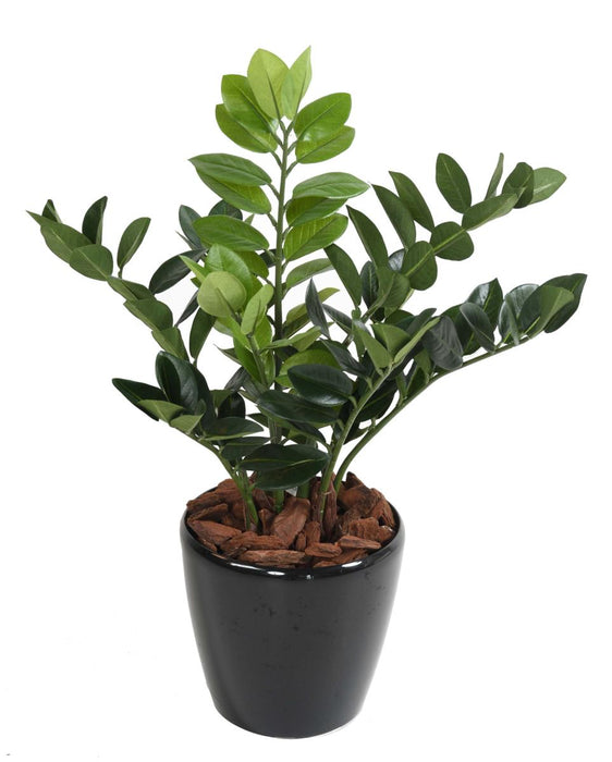 Pianta Artificiale Zamioculcas 60Cm Per Interni