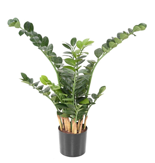 Pianta Artificiale Zamioculcas 90Cm Per Interni