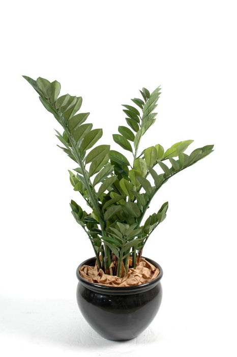 Pianta Artificiale Zamioculcas 90Cm Per Interni