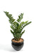 Pianta Artificiale Zamioculcas 90Cm Per Interni