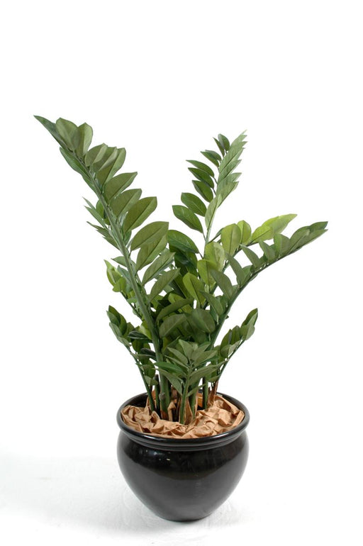 Pianta Artificiale Zamioculcas 90Cm Per Interni