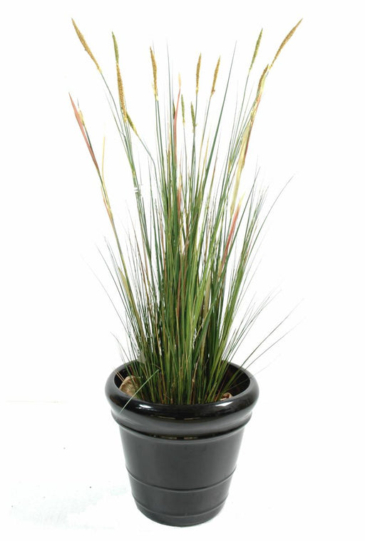 Pianta Artificiale Zanichellie Marsh 155Cm