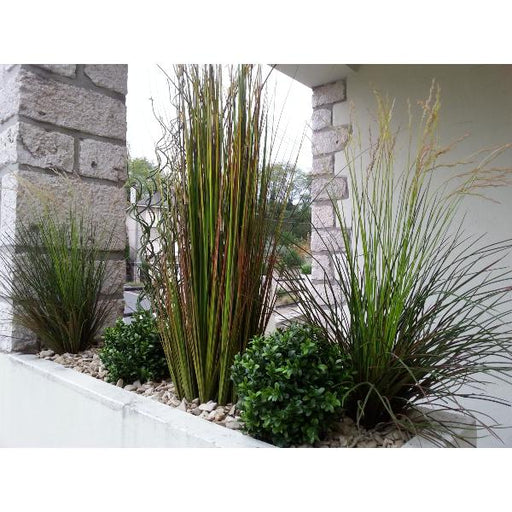 Palla Artificiale Per Pianta Di Bosso 30 Cm Per Interni Ed Esterni