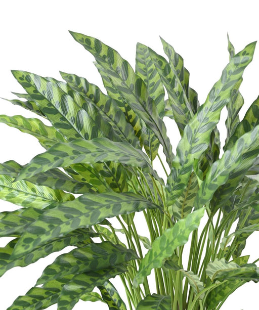 Pianta Calathea Artificiale In Vaso 84Cm Verde