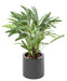 Pianta Calathea Artificiale In Vaso 84Cm Verde