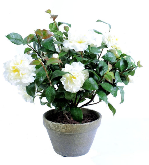 Pianta Di Camelia Artificiale In Vaso 56Cm Bianca