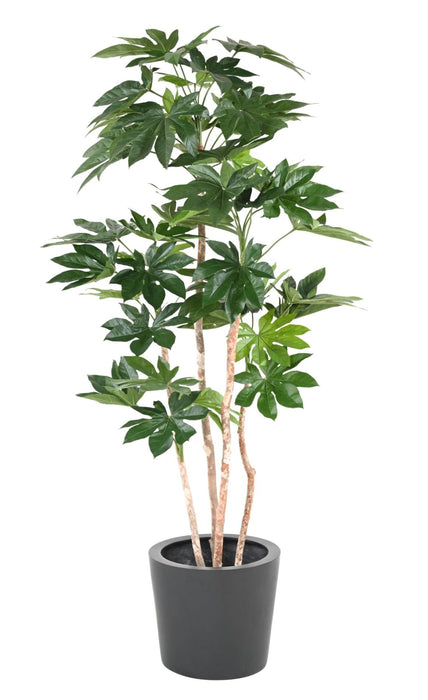 Pianta Artificiale Fatsia Japonica 180 Cm Decorazione Interni