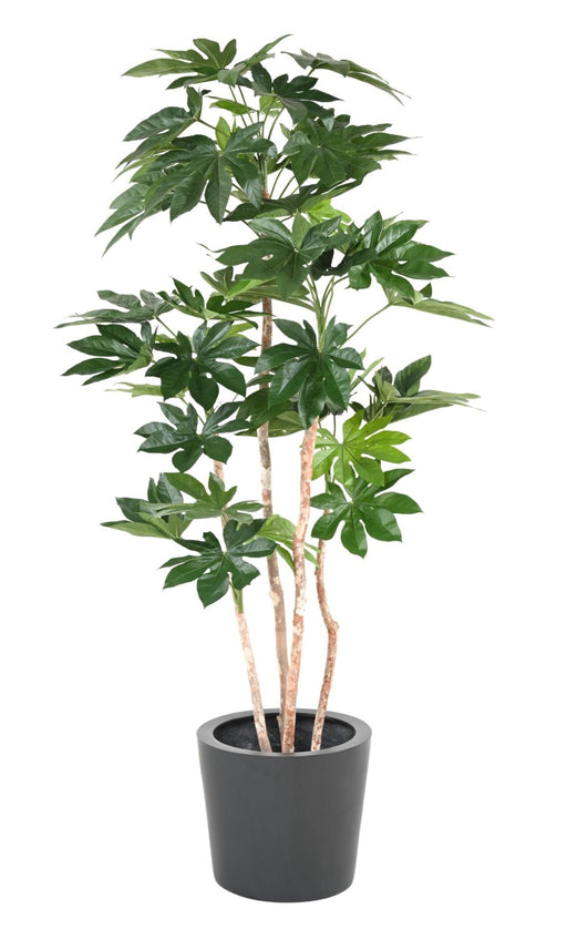 Pianta Artificiale Fatsia Japonica 180 Cm Decorazione Interni