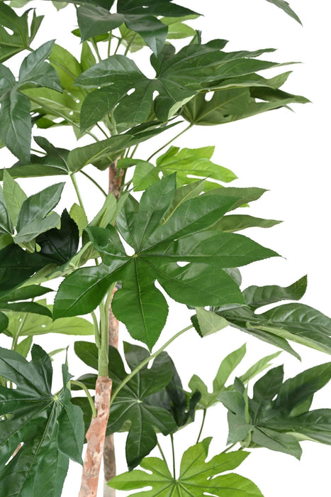 Pianta Artificiale Fatsia Japonica 180 Cm Decorazione Interni