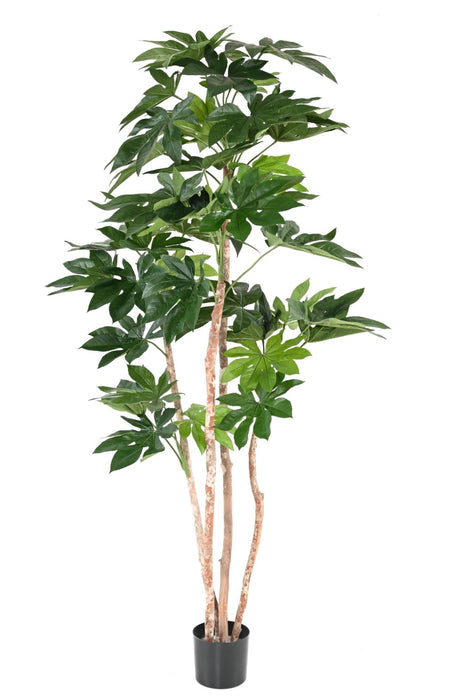 Pianta Artificiale Fatsia Japonica 180 Cm Decorazione Interni